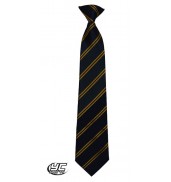 St Teilo's CIW Upper School Tie